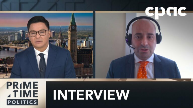 Gun Buy Back Program Won't Work, Says Frank Caputo