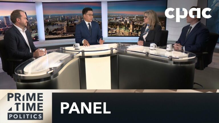 Leaked Comments on the Gun Buyback Program: Strategists Panel