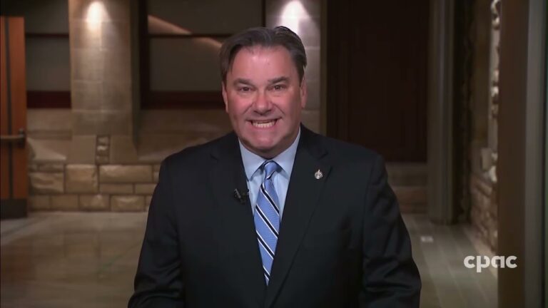 Michael Serapio speaks with Don Davies, interim leader of the NDP